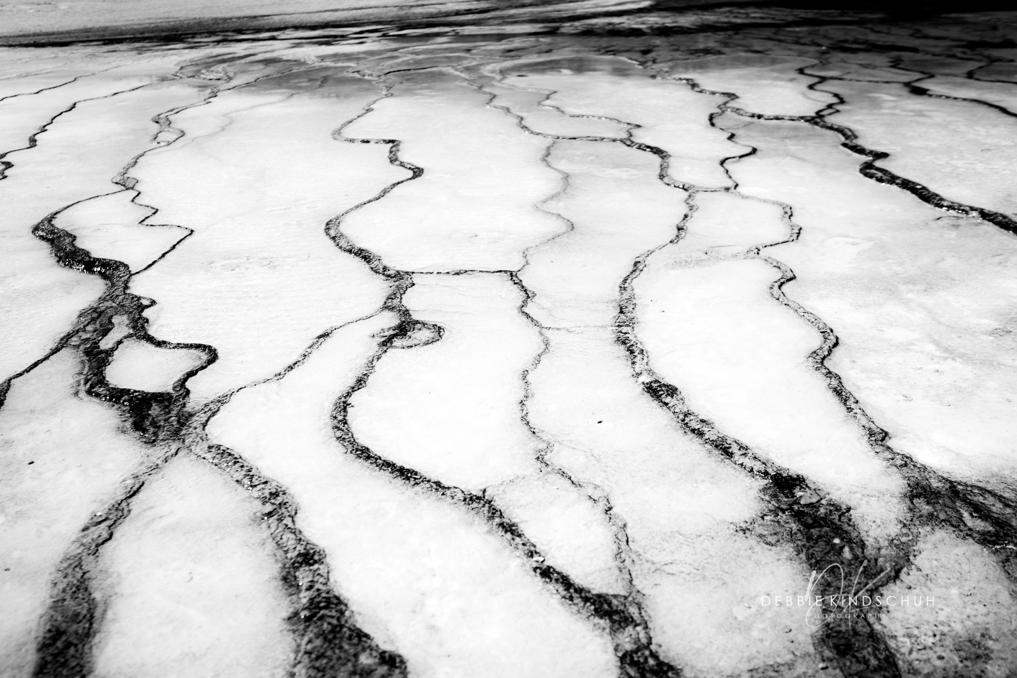 Yellowstone B&W 2 | Debbie Kindschuh Photography